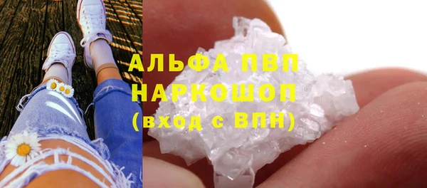 винт Алексин